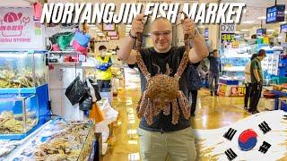 Korean Seafood Feast at Noryangjin Fish Market in Seoul | King Crab, Live Octopus & Sashimi