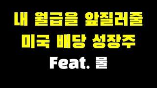 내 월급을 앞질러줄 미국 배당 성장주 (Feat. 물)