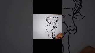 carabao easy drawing