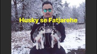 HUSKIES in the snow,RUSSIA (vaccination time)vlog 18