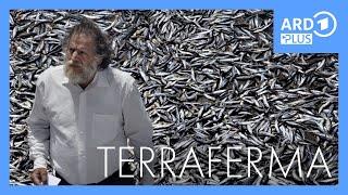 Terraferma (Trailer) | ARD Plus