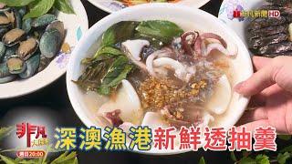 深澳漁港新鮮透抽羹 & 傳香五代的排隊油飯【精彩內容搶先看！】2024.09.29