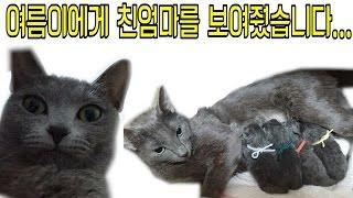 여름이에게 친엄마를 보여줬습니다... - 스팀보이