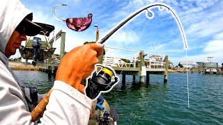 BIG Sheepshead And A SURPRISE CATCH Under These Docks