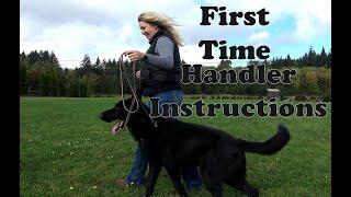 Kraftwerk K9 German Shepherds- First time Instructions for a First time handler!