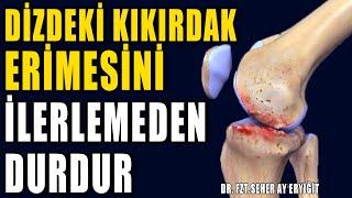 DİZDEKİ KIKIRDAK ERİMESİNE ERKENDEN MÜDAHALE ET #aktifizyo #fiziktedavi #dizkireçlenmesi