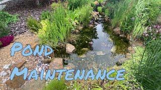 Ecosystem Pond Maintenance Video - Wildlife Pond