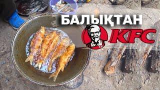 Балықты KFC сияқты қуырдық. ЖАРИМ РЫБУ КАК KFC