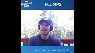 No Nonsense Sales: "FLUMPS" with Ross Pomerantz (Corporate Bro)