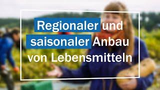 Regionaler und saisonaler Anbau von Lebensmitteln | Solidarische Landwirtschaft Auergarden