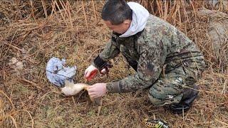 slingshot fishing #fishing #낚시