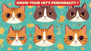 Decode Your Cat's Personality: A Guide to Feline Behaviours