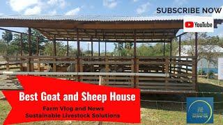 Best Goat and Sheep Housing in Jamaica #Farmvlog