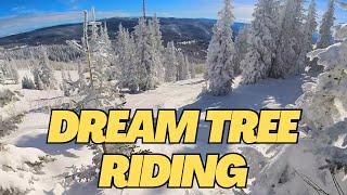 My Favorite Colorado Ski Resort : Steamboat Springs Mountain Review