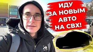 Забираю свой новый авто из порта! СВХ, проходим лабораторию