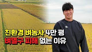 올해 역대급 벼멸구 피해라는데, 친환경 벼농사 4만평 피해 없는 이유는?