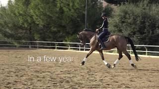 How to develop the "second" trot