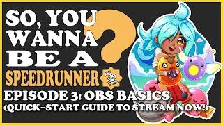 Quick-Start Guide to Stream NOW! OBS Basics | So, You Wanna Be A Speedrunner? Ep.3