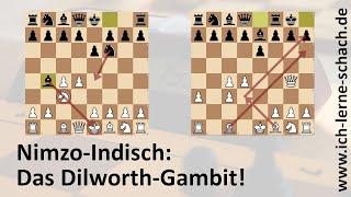 Nimzo-Indisch: Das Dilworth-Gambit!