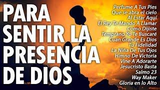 MUSICA CRISTIANA 2024 QUE TRAE PAZ Y TRANQUILIDAD - CANCIONES CRISTIANAS MÁS HERMOSA PARA ORAR