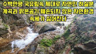 오염원없는 청정한곳 공기좋고 물깨끗한 곳  제대로 자연인 하실분