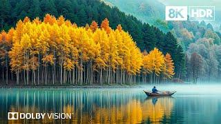 Experience the World’s Top Landscapes in 8K HDR | Dolby Vision™