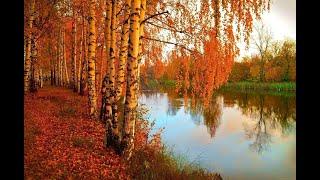 Beautiful Relaxing Music Of Autumn. Peaceful Autumn. Soothing and Instrumental Music of autumn