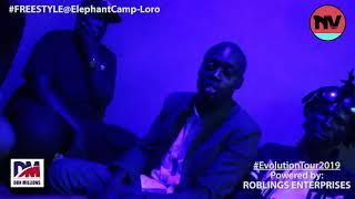 DON Millions Freestyle at Elephant Camp_Loro