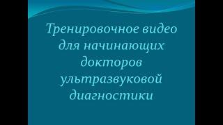 Тренировочное видео для начинающих докторов ультразвуковой диагностики