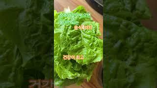 한국인이모르는 상추와같이먹으면 안되는 음식4가지??건강이 최고