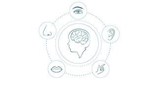 Senses and Sensibility: A Brain Awareness Week Webinar