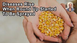 More Than 30 Diseases In The US Seemed To Have A Bump Up When Round Up Started To Be Sprayed On GMO