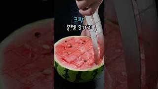 쿠팡 꿀템 3가지 #꿀템 #데일리템 #쿠팡