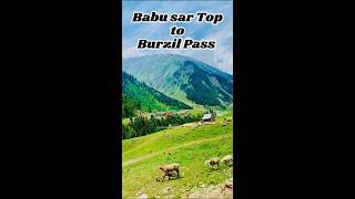 Babusar Top to Burzil pass | Road Rip