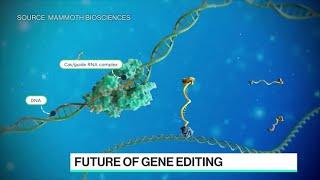 Mammoth Bio CEO on Bayer Pact to Make Crispr Therapies