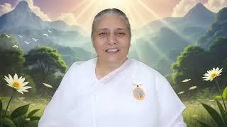 13 Nov 2024 आज की मुरली/Aaj ki Murli/Today's Murli/BK Murli/13-11-24/ BK Usha Madhuban/Ruhani Udaan