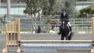 2011-2012 IEL Show Season - Show #4 Lindsay Palmer Novice Handy Hunter