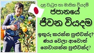 ජපානයේ ජීවන වියදම ඇත්තම කතාව | LIVING COST JAPAN SINHALA | JAPAN LIFESTYLE | SRI LANKAN IN JAPAN NEW