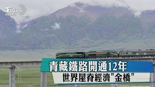 青藏鐵路開通12年　世界屋脊經濟"金橋"