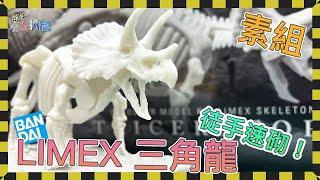 [路邊玩物倉] 素組 速砌 Bandai LIMEX 恐龍骨格 三角龍