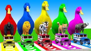 5 Giant Duck Cartoon, Cow, Mammoth, Elephant, Lion, Paint Wild Animals Crossing Fountain Animation