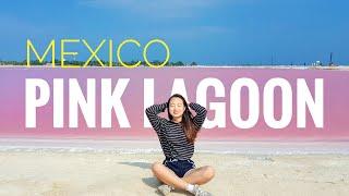 (ENG sub)[배낭여행] 칸쿤에서 핑크호수 투어없이 혼자가기! The pink lagoon 넘나 고생 #멕시코여행 #핑크라군 #은하씨 #은하씨이벤트 #은하씨2기응모