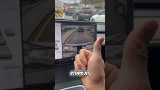 Tesla Autopilot  FREE?! What You Need to Know! 