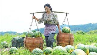 Watermelon Feast | When I was a child, sweetened my whole summer with a cattail fan and watermelons.