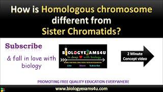 Difference between Homologous chromosome and Sister Chromatids @biologyexams4u