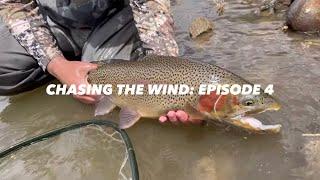 BEST DAY EVER Fly Fishing at Spinney Mountain Reservoir (CHASING THE WIND: EPISODE 4)