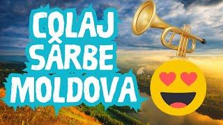 COLAJ SUPER SÂRBE MOLDOVENEȘTI  SÂRBA LA TROMPETĂ  MUZICĂ MOLDOVENEASCĂ DE PETRECERE HIT NEW TOP