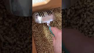 Eco-Pellet™ Litter Box Demonstration