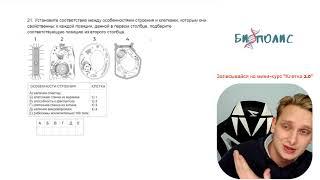 Решение задания на соотношение характеристик и типов клеток. ЕГЭ Биология