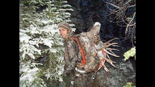 "TO THE TOP 3" MONTANA PUBLIC LAND HIGH COUNTRY MULE DEER